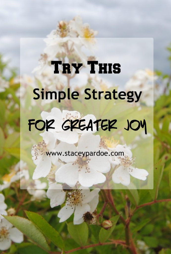 Bible Verses About Being Intentional