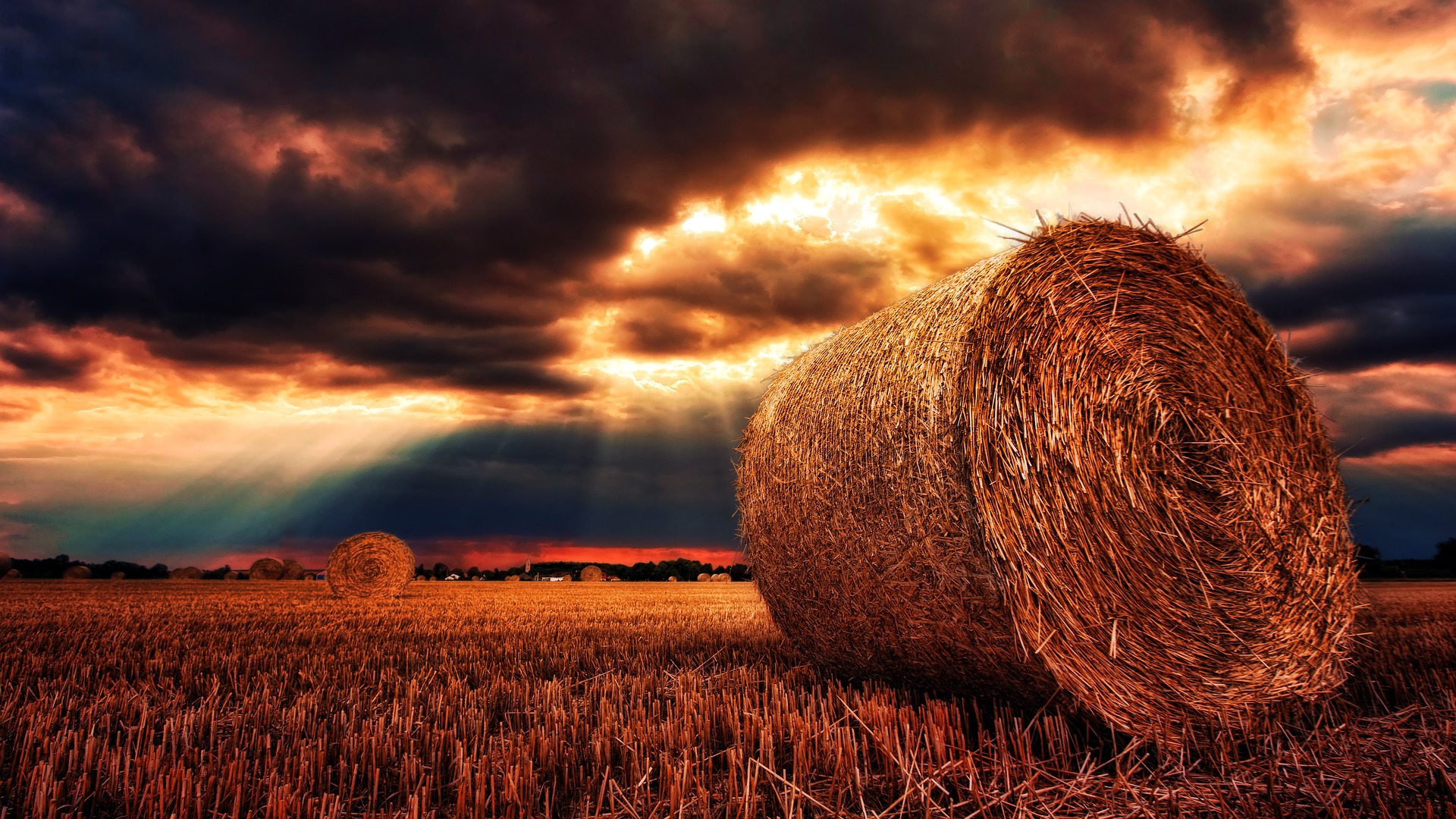 8 Bible Verses About Abundant Life in Christ - Stacey Pardoe