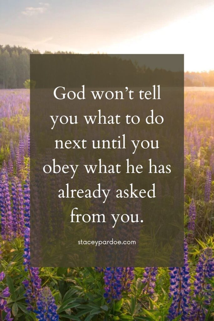 God's Assignment for You: 7 Keys to Fulfilling Your Purpose - Stacey Pardoe